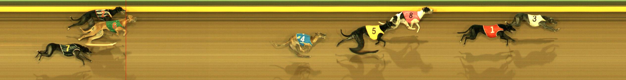 Race result finish photo